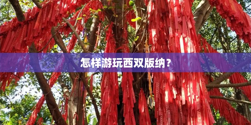 怎样游玩西双版纳？
