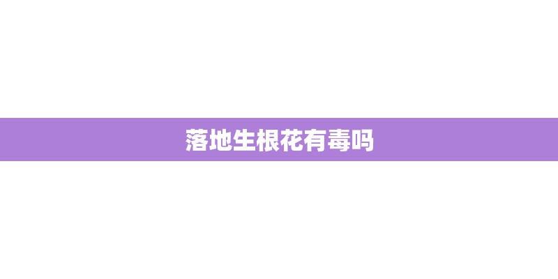 落地生根花有毒吗