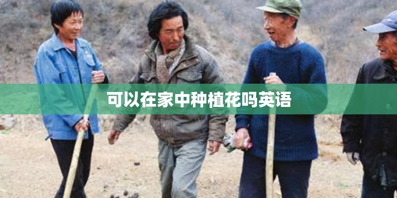 可以在家中种植花吗英语