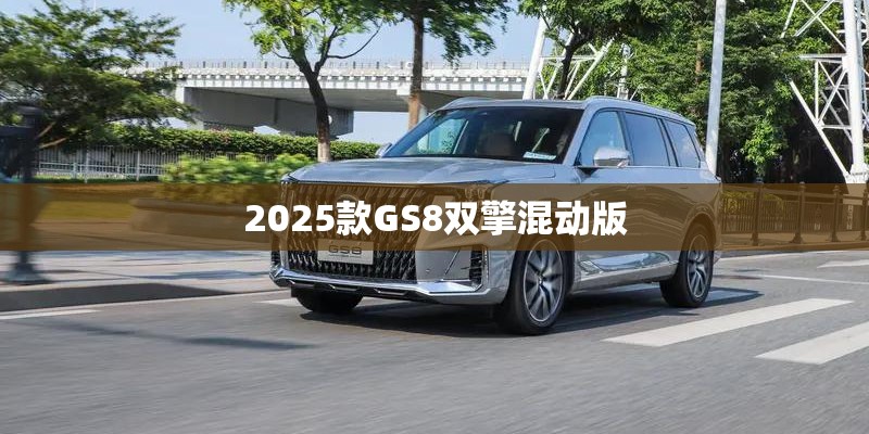 2025款GS8双擎混动版 2025款GS8双擎混动版
