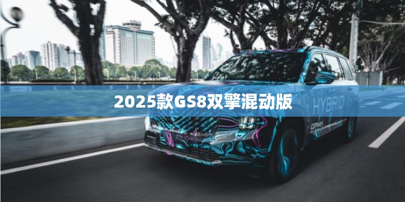 2025款GS8双擎混动版 2025款GS8双擎混动版