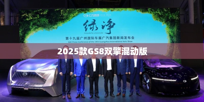 2025款GS8双擎混动版 2025款GS8双擎混动版