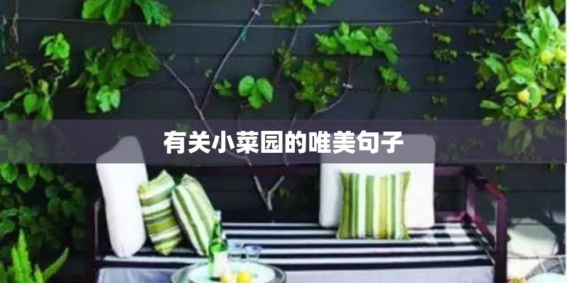 有关小菜园的唯美句子