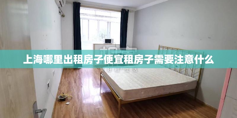 上海哪里出租房子便宜租房子需要注意什么
