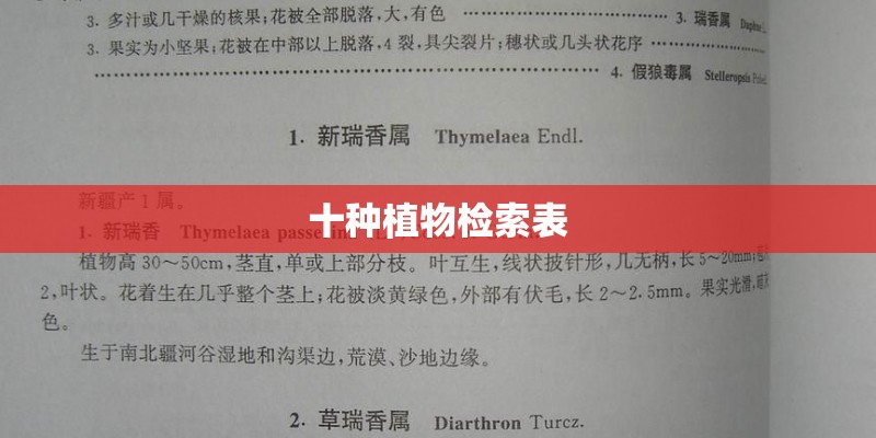 十种植物检索表