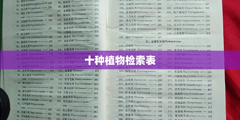 十种植物检索表