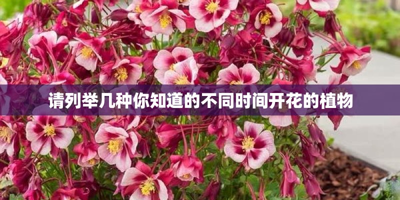 请列举几种你知道的不同时间开花的植物