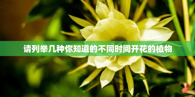 请列举几种你知道的不同时间开花的植物