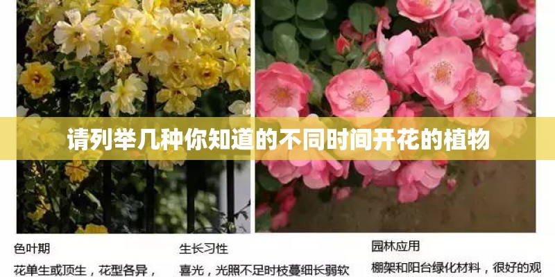 请列举几种你知道的不同时间开花的植物