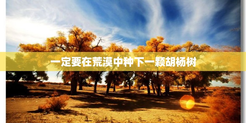 一定要在荒漠中种下一颗胡杨树