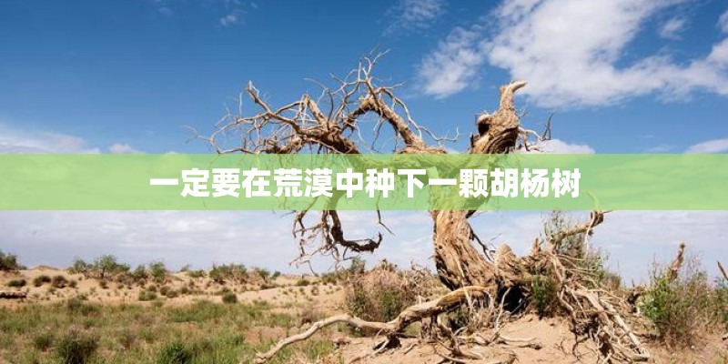 一定要在荒漠中种下一颗胡杨树