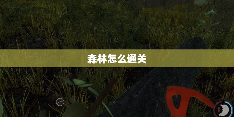 森林怎么通关