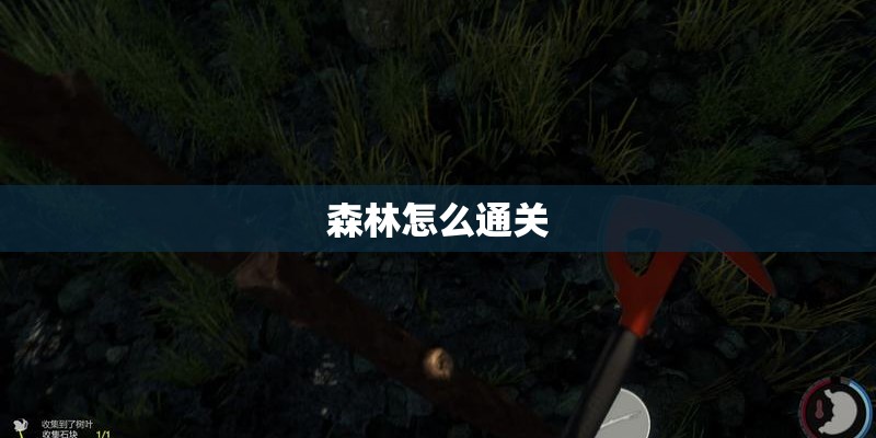 森林怎么通关