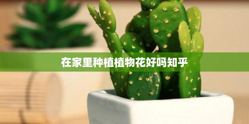 在家里种植植物花好吗知乎