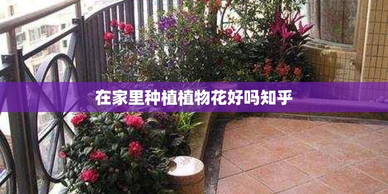 在家里种植植物花好吗知乎