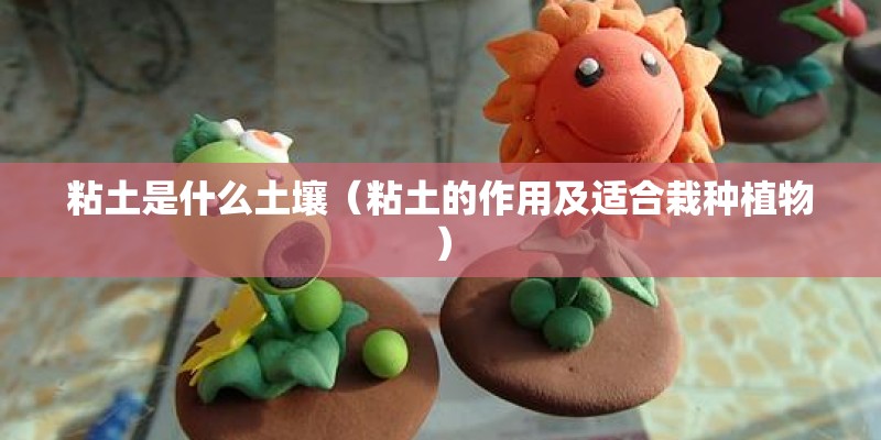 粘土是什么土壤（粘土的作用及适合栽种植物）
