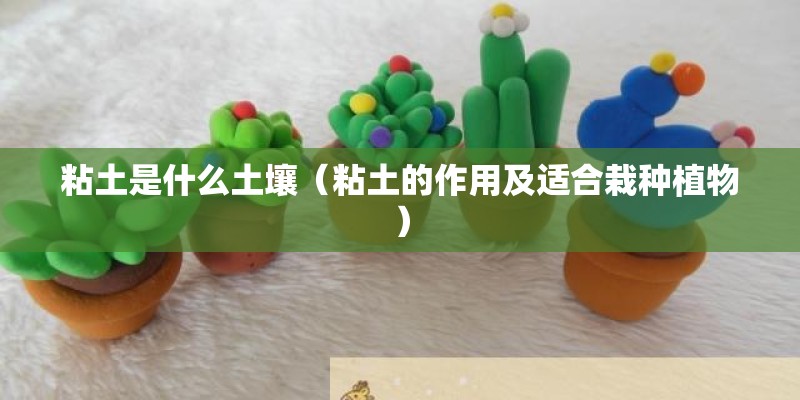 粘土是什么土壤（粘土的作用及适合栽种植物）