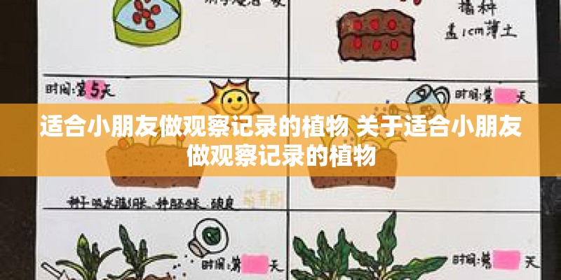 适合小朋友做观察记录的植物 关于适合小朋友做观察记录的植物