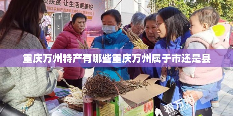 重庆万州特产有哪些重庆万州属于市还是县