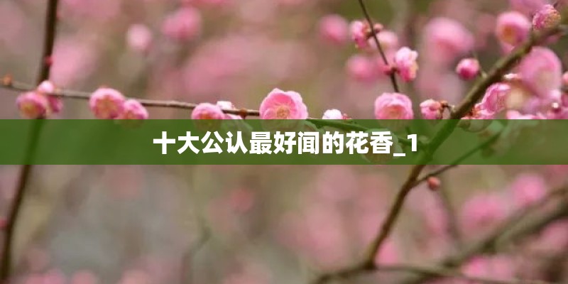 十大公认最好闻的花香_1