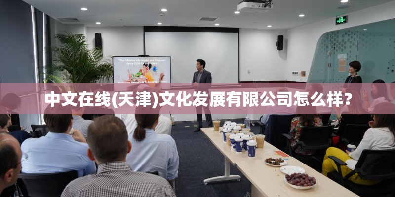 中文在线(天津)文化发展有限公司怎么样？