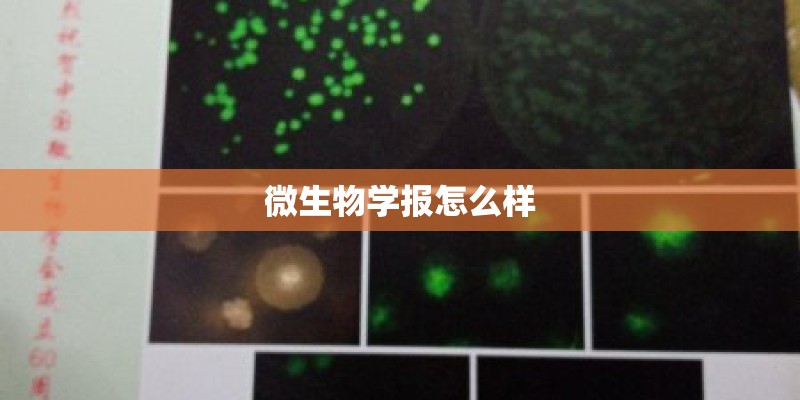 微生物学报怎么样 微生物学报怎么样