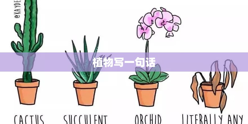 植物写一句话