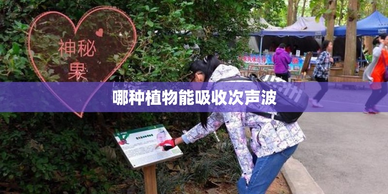 哪种植物能吸收次声波