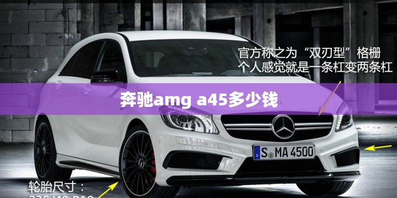 奔驰amg a45多少钱