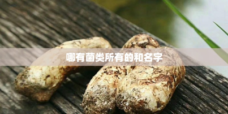 哪有菌类所有的和名字