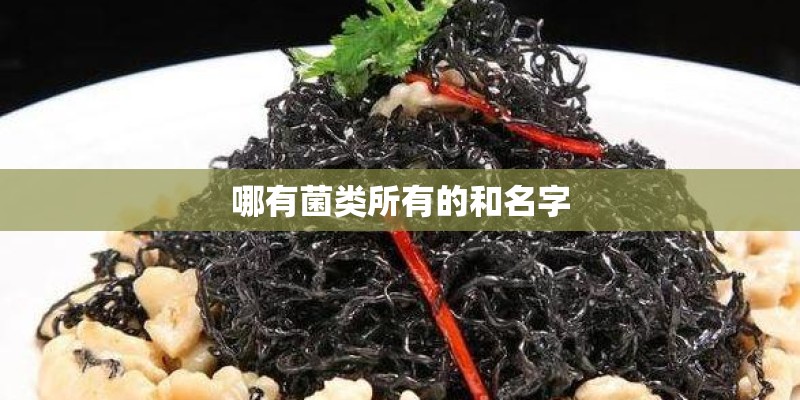 哪有菌类所有的和名字