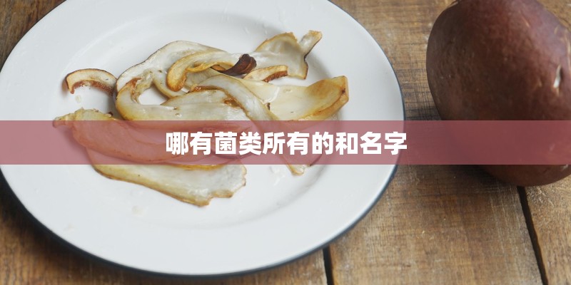 哪有菌类所有的和名字