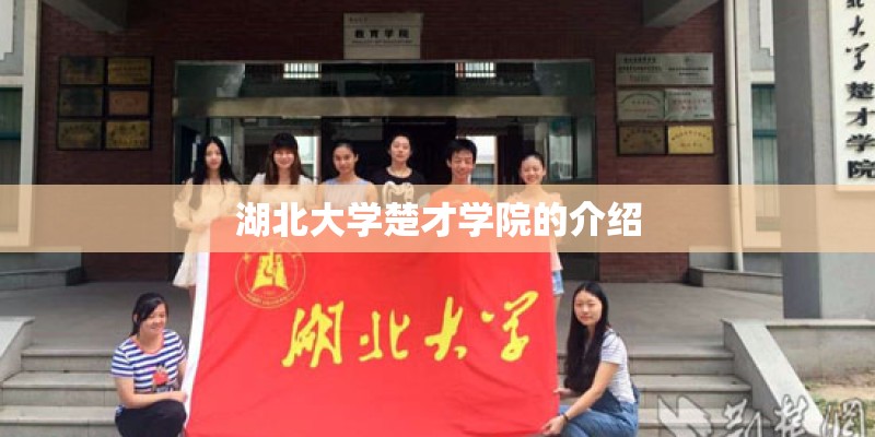 湖北大学楚才学院的介绍