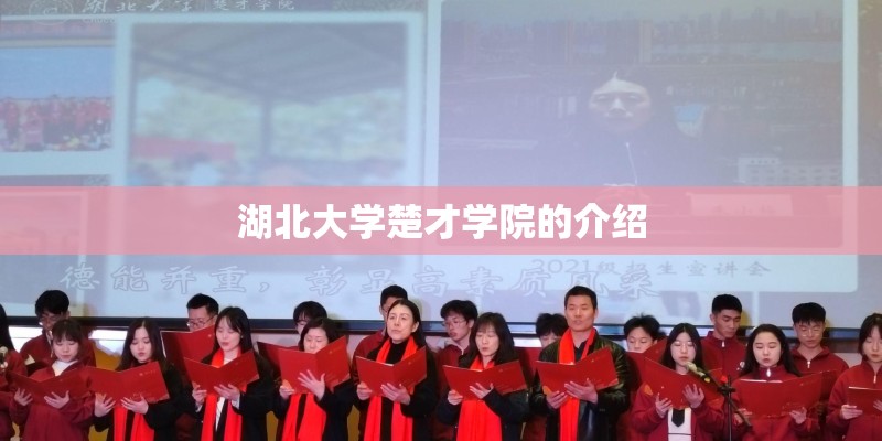 湖北大学楚才学院的介绍