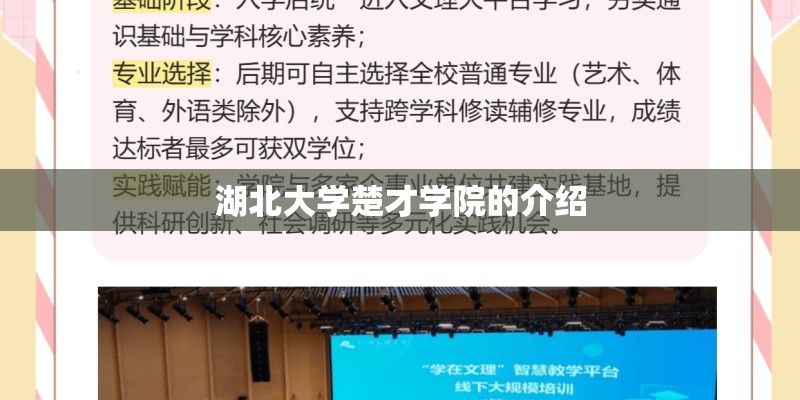 湖北大学楚才学院的介绍
