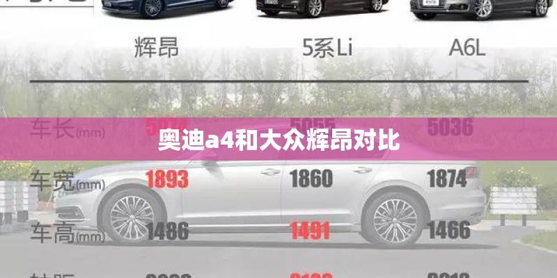 奥迪a4和大众辉昂对比