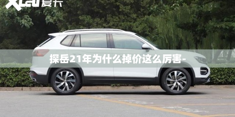 探岳21年为什么掉价这么厉害- 探岳21年为什么掉价这么厉害-