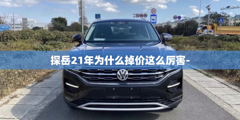 探岳21年为什么掉价这么厉害- 探岳21年为什么掉价这么厉害-