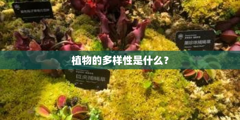 植物的多样性是什么? 植物的多样性是什么?