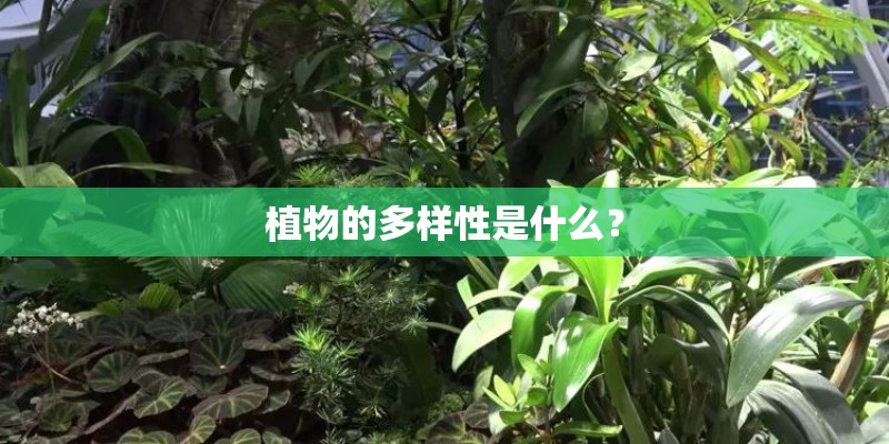 植物的多样性是什么? 植物的多样性是什么?