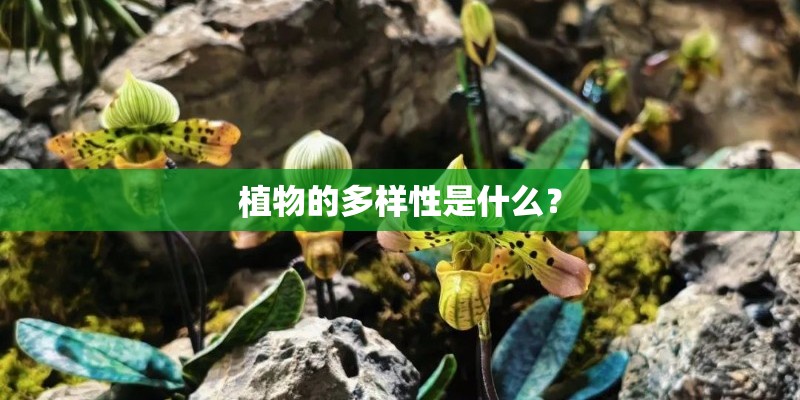 植物的多样性是什么? 植物的多样性是什么?