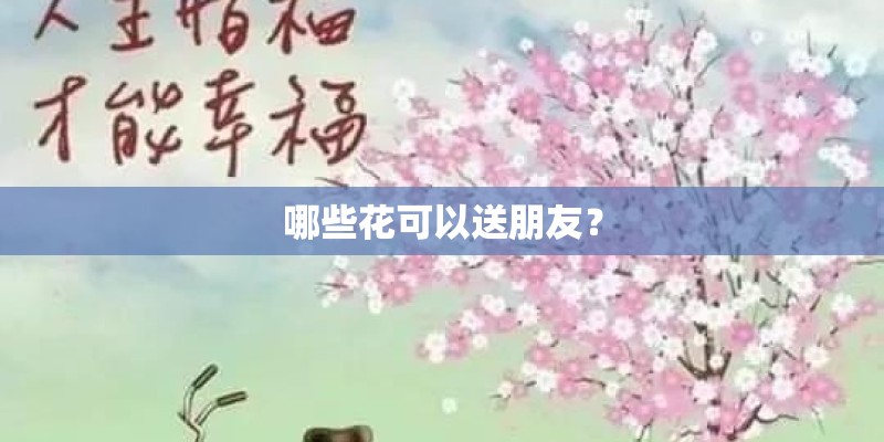 哪些花可以送朋友？