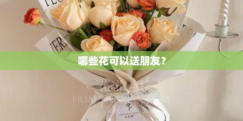 哪些花可以送朋友？