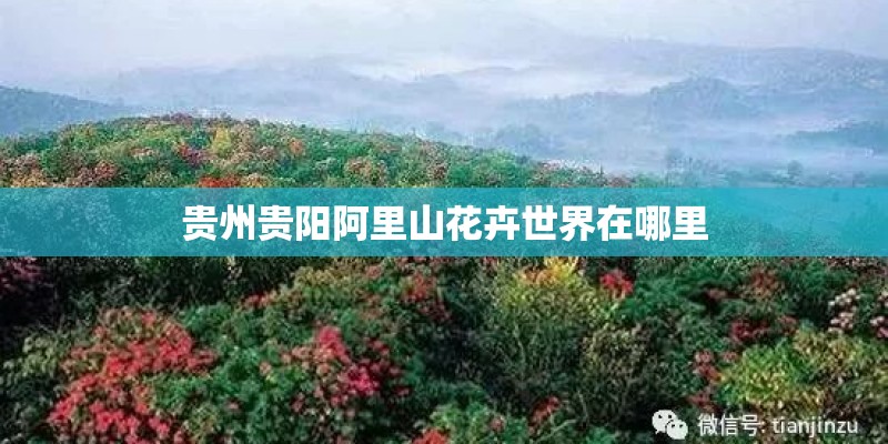 贵州贵阳阿里山花卉世界在哪里