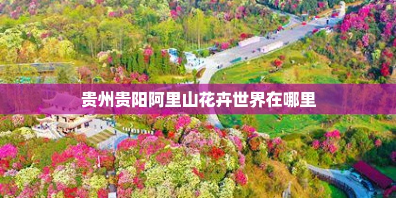 贵州贵阳阿里山花卉世界在哪里
