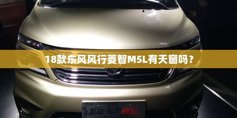 18款东风风行菱智M5L有天窗吗？