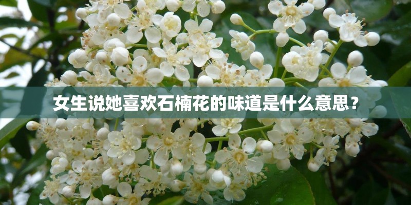 女生说她喜欢石楠花的味道是什么意思？