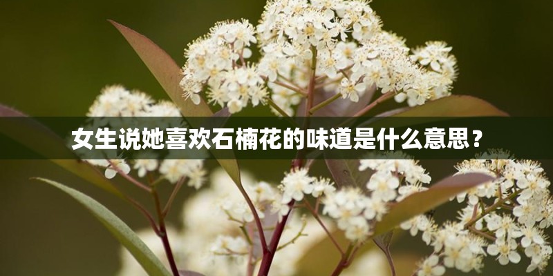 女生说她喜欢石楠花的味道是什么意思？