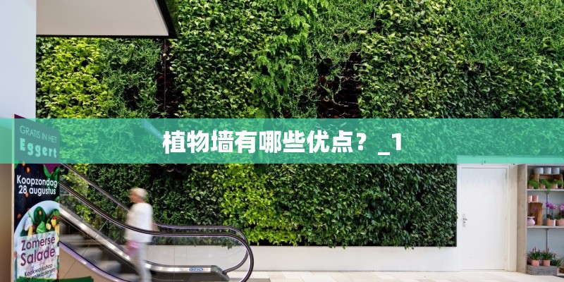 植物墙有哪些优点?_1 植物墙有哪些优点?_1