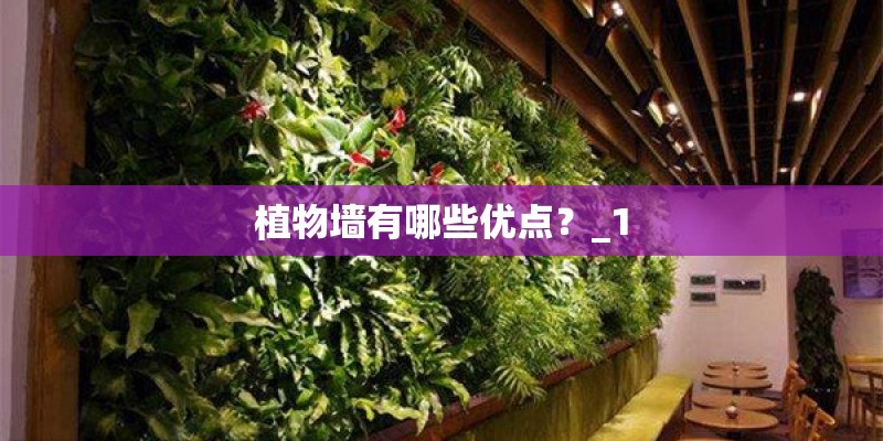 植物墙有哪些优点?_1 植物墙有哪些优点?_1